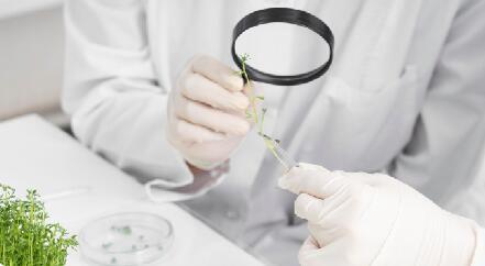 海右“人才驿站”政策宣讲走进齐鲁中科泰山生态环境研究院